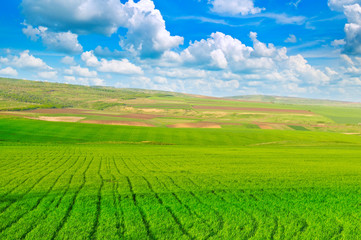 beautiful rural landscape