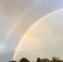 Regenbogen