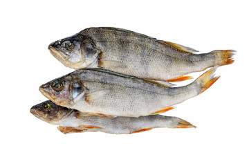 Dried fish. Perch.