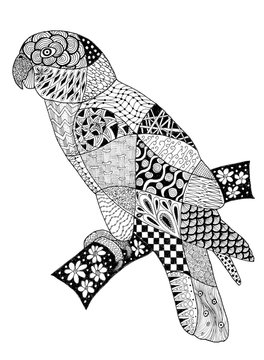 Original zentangles drawing of a parrot.