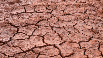 Dürre, ausgetrockneter Boden 