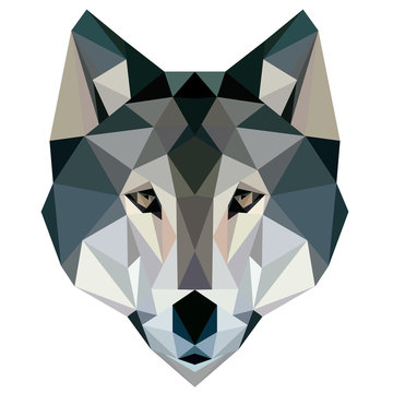 wolf low poly design geometric animal illustration vector face logo icon image