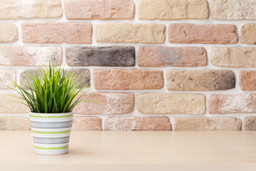 Potted plant on shelf in front of brick wall