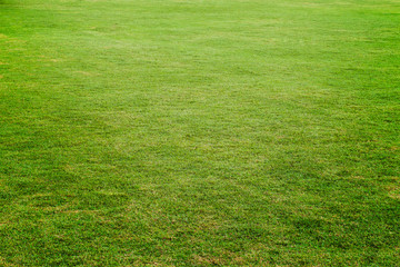 Green meadow, grass field for football,grass texture for backgro - 112326029