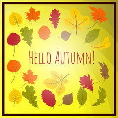 Fototapeta na wymiar Hello autumn leaves