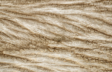 Closeup old and dried wood pattern at the table texture background