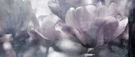 tulpen dunkelgrau konzept