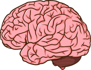 human brain cartoon