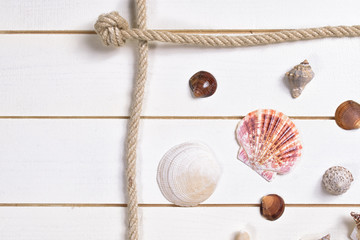 Fototapeta na wymiar Seashells on wooden background