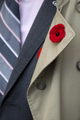 fake flower on suit collar.