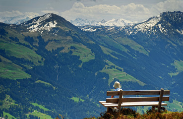 Kinder Wandern