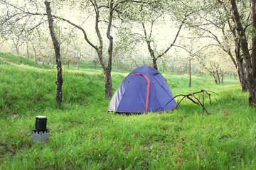 Tourist tent in forest