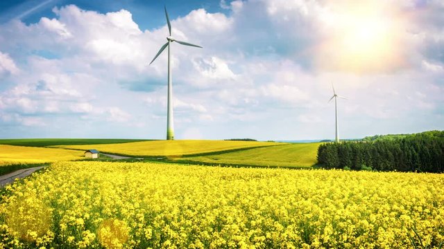 Country landscape with wind turbines. Ecological concept. 4K