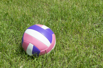 Plakat Volleyball ball on green grass 