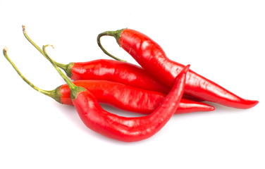 Chile pepper on a white background
