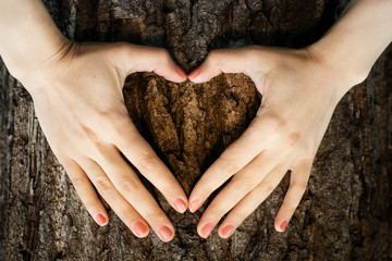 Eco symbol heart shape on a trunk of tree
