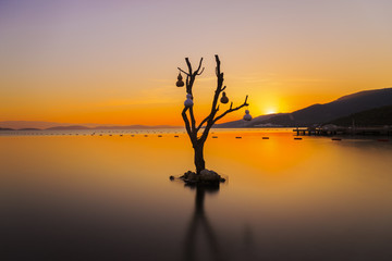 Tranquil sea with long exposure image and silky sea with silhouette image during the sunrise, reverse light image