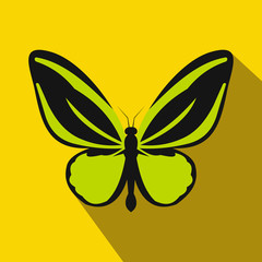 Butterfly icon, flat style