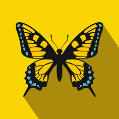 Fototapeta premium Butterfly icon, flat style