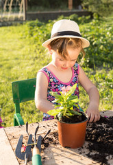 cute little girl planting flowers