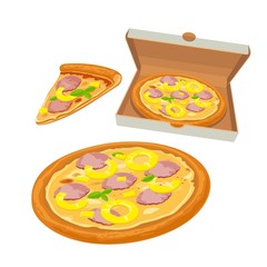 Whole pizza hawaiian in open white box and slice. Isolated vector flat illustration for poster, menus, logotype, brochure, web and icon.