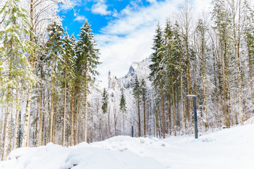 Neuschwanstein castle in winter