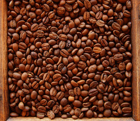 Closeup of coffee beans in wooden box