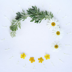 floral frame/ Round floral frame with wild flowers top view 