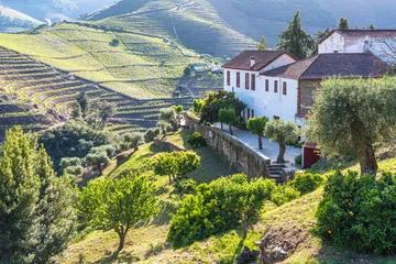 Fotobehang Landscape of the Douro river regionin Portugal -  Vineyards © Simon Dannhauer