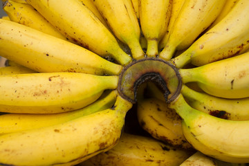 Banano, platano