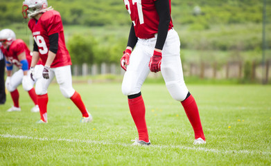 Obraz premium The football team is ready