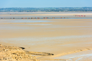 View from walls of Mont Saint Michel, France