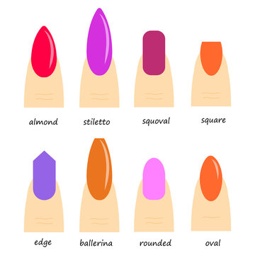 Nail shape. Nail shape icons. Vector illustration.