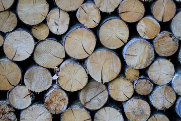 Stapel mit Holzstämmen.