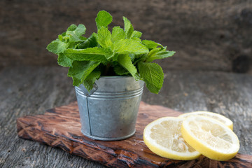 Fresh garden mint
