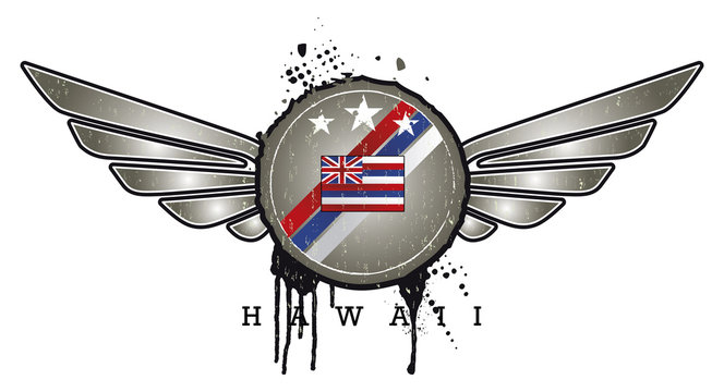 hawaii vintage grunge shield with wings