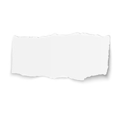 White vector paper tear placed on white background