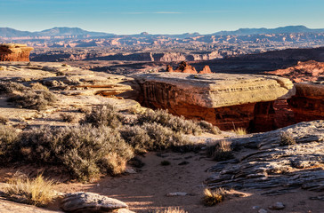 Fototapeta premium Whitecrack area- White Rim Road- Canyonlands National Park- Island in the Sky- Utah. This permit only camping area off White Rim Road is the most popular.