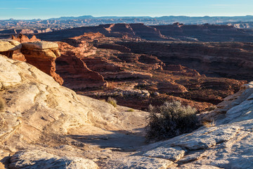 Fototapeta na wymiar Whitecrack area- White Rim Road- Canyonlands National Park- Island in the Sky- Utah. This permit only camping area off White Rim Road is the most popular.
