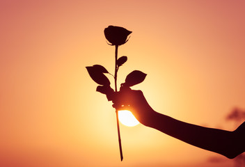 Naklejka premium The perfect rose. Hand holding rose flower against beautiful sunset.