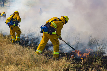 Firefighter Fighting Wildland Forest Grass Fire