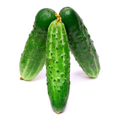 Fresh cucumber isolated on a white background