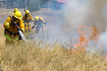 Fototapeta premium Firefighter Fighting Wildland Forest Grass Fire