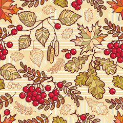 Seamless pattern. Autumn leaf. Rowan. Maple. Birch. Oak.