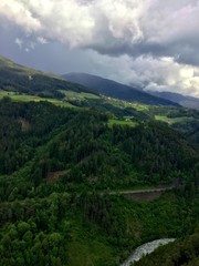 Fototapeta na wymiar Grüner Wald in den Bergen