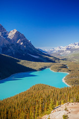 Fototapeta premium Peyto Lake, Banff National Park, Rocky Mountains, Alberta, Canad