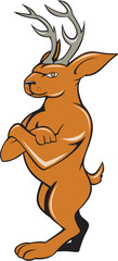 Jackalope Arms Crossed Standing Cartoon