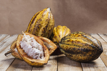Fruta cacao