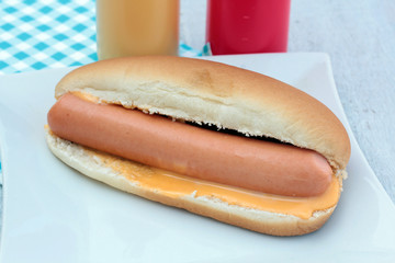 hot dog 02062016