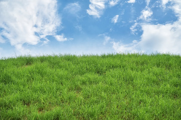 Obraz na płótnie Canvas Sky and grass background